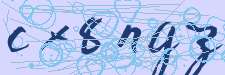 Security Verification Code